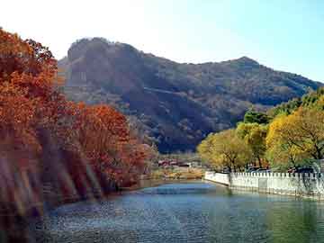 管家婆黑白马报图库，风雪漫千山